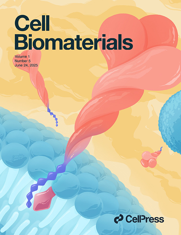 Cell Biomater, 2, 100280, May 19, 2026